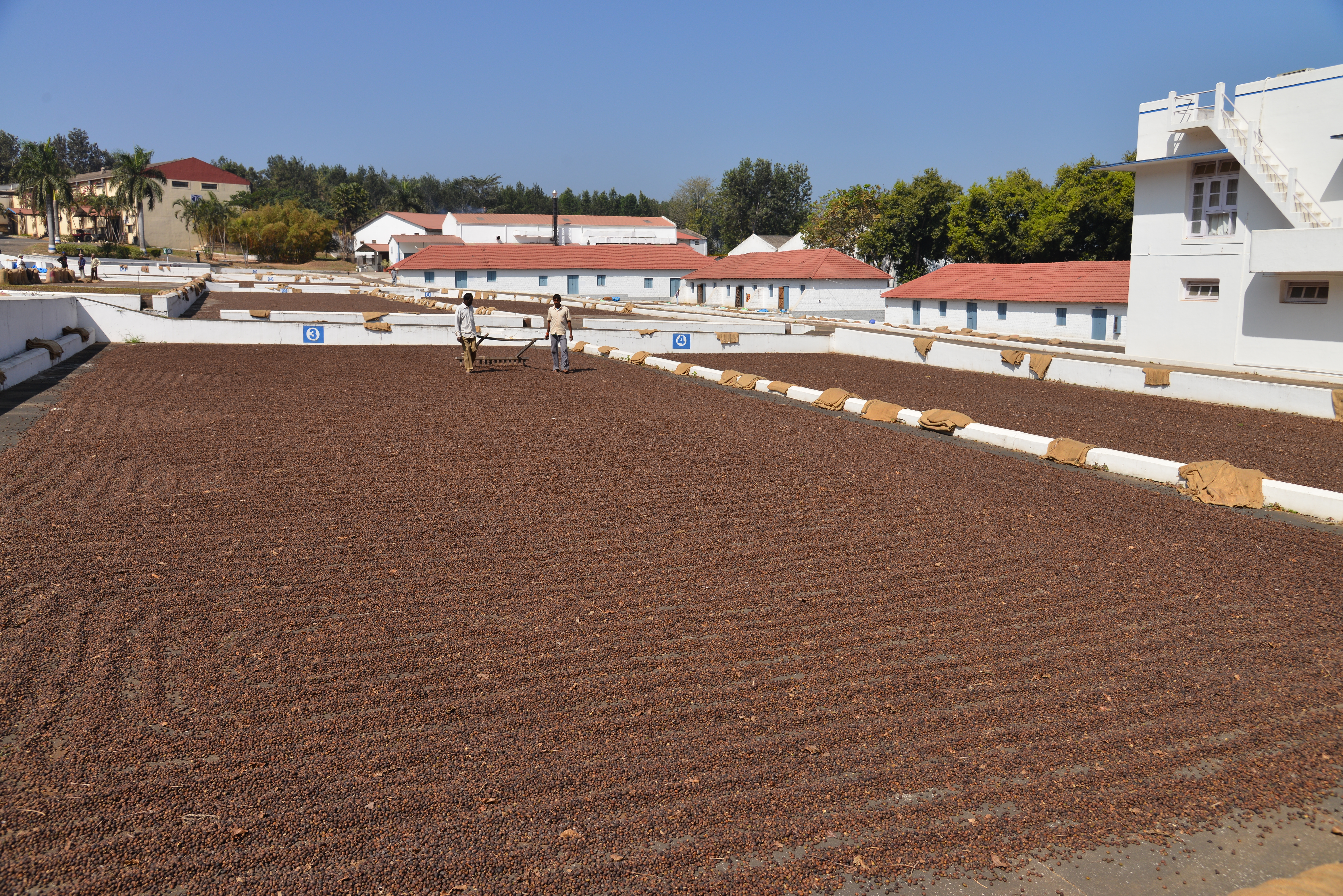 Post Harvest Technology